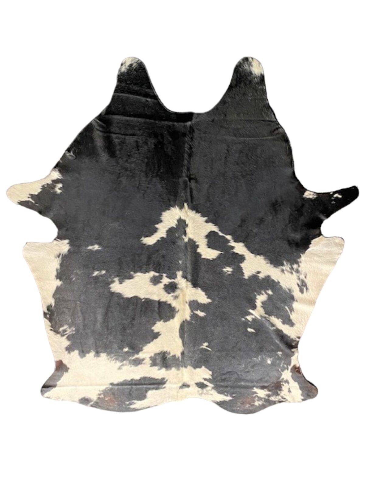 CR-2 Black & White (56)