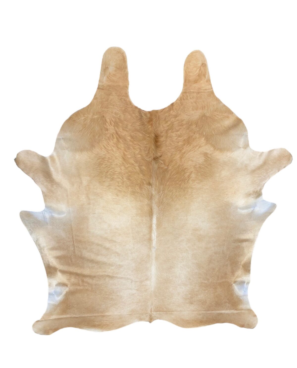 CR-3 Beige (61)