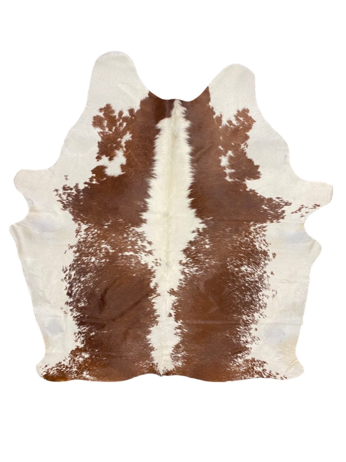CR-4 Brown & White - S&P (224)