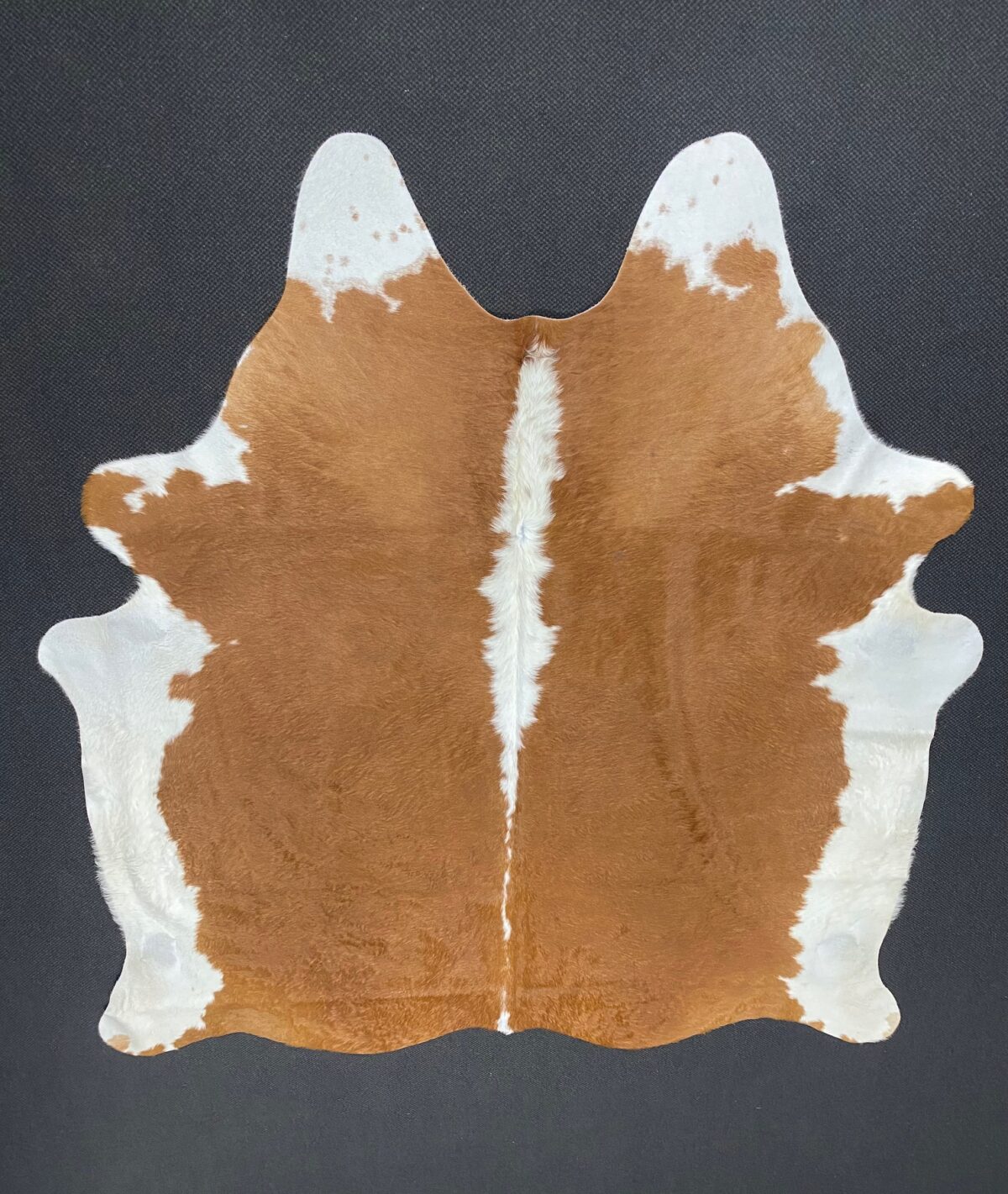 CR-4 Brown & White (61)